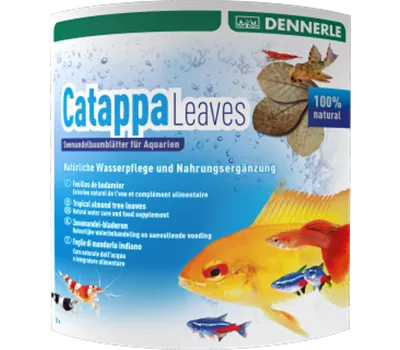 Dennerle Catappa Leaves Seemandelbaumblätter 10er