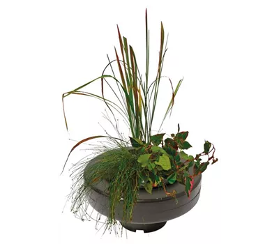Superfish Floating Plant Basket 30cm