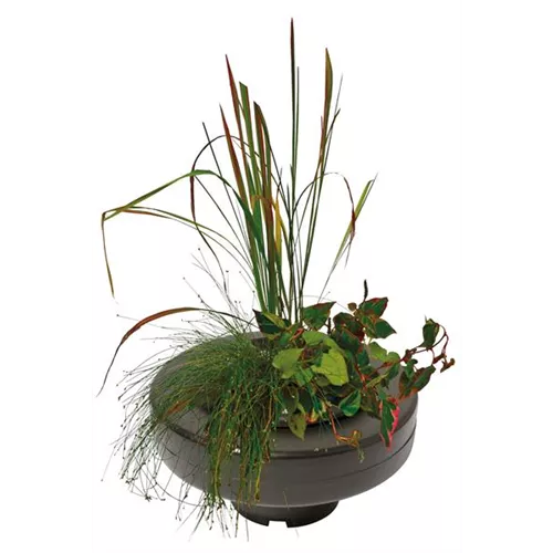 Superfish Floating Plant Basket 30cm