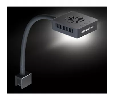 Aqua Medic Qube 30 plant 