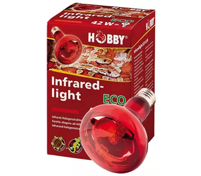 Hobby Infraredlight Eco, Infrarot-Halogenstrahler - 70W