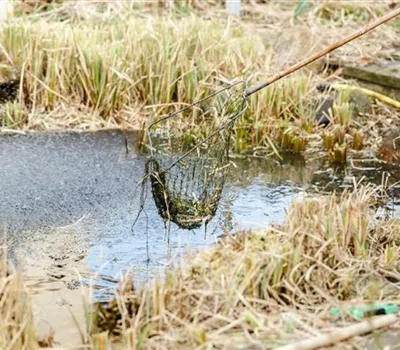 Den Gartenteich winterfest machen – So geht’s!