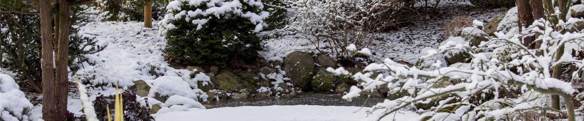 Wintergarten mit Teich
