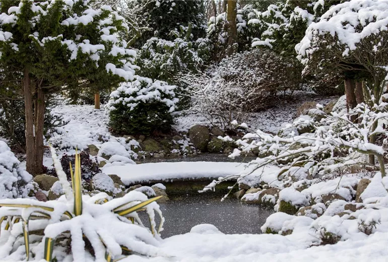 Wintergarten mit Teich