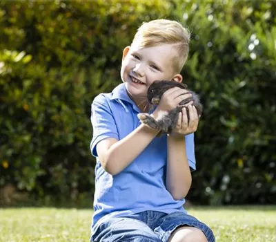 Internationaler Welttierschutztag – zum Wohl der Tiere