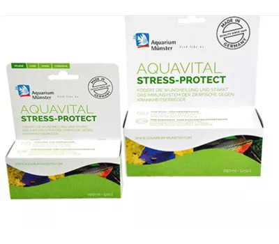 Aquarium Münster Aquavital Stress-Protect 250ml