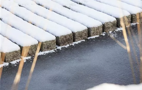 Teichbeheizung im Winter: Fische sind Warmduscher
