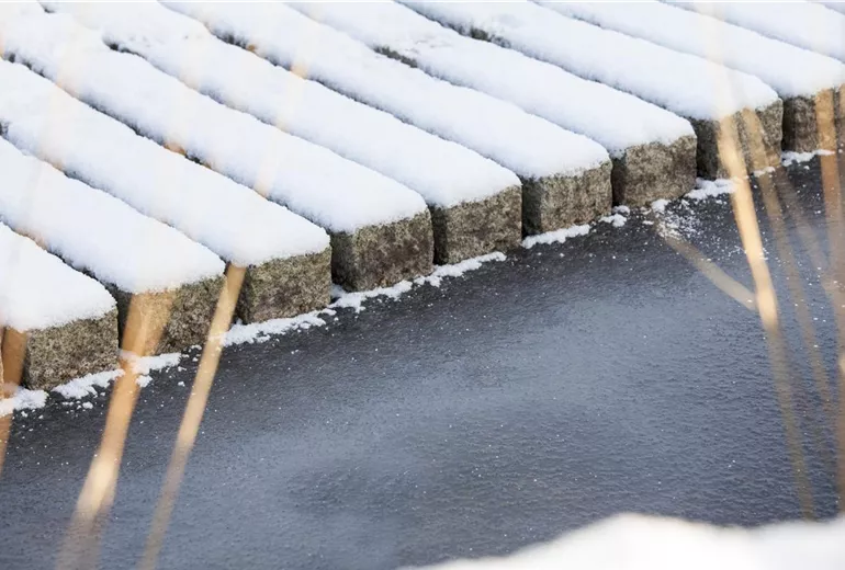 Teichkante Stein gefrorenes Wasser