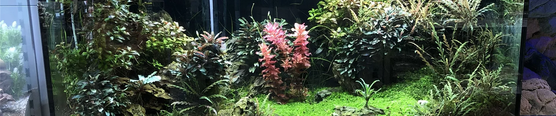 IMG_6644-0-538-3024-1701