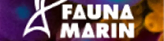 Fauna Marin