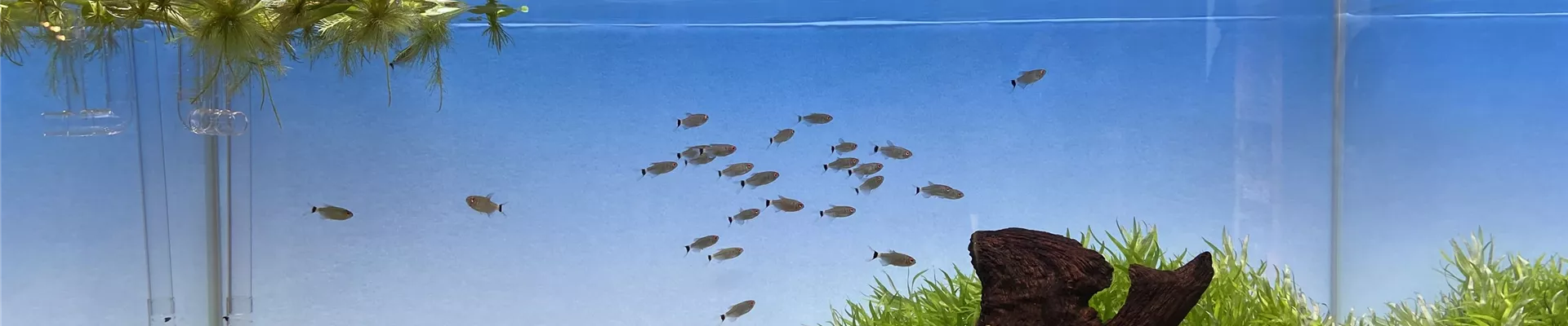 IMG_2226-0-0-4032-3024