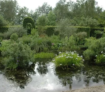 Der richtige Teichfilter – ein absolutes Muss im Fischteich!