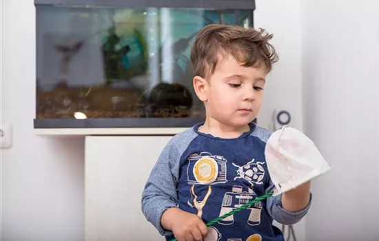 Aquarium als Dekoration für zu Hause