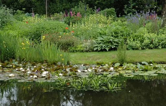 Urlaub für den Teichfilter – oder lieber doch nicht?